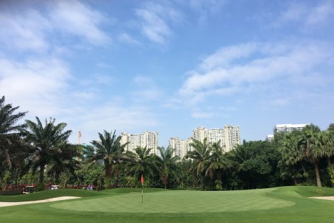深圳沙河高尔夫球会高档型