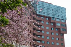 厦门宾馆(中山路万石植物园店)