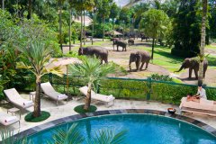 大象野生动物园寄宿酒店(Elephant Safari Park Lodge)