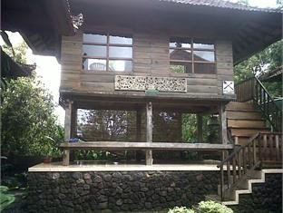 巴厘岛曼德克莎丽花园别墅酒店(Munduk Sari Nature Villa)