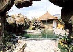 巴厘岛普里贝宁湖前滩酒店(Puri Bening Lake Front Hotel Bali)