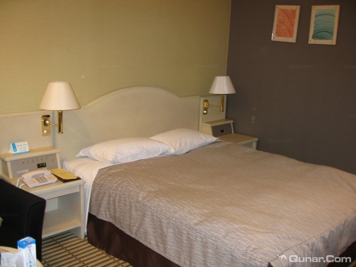 千叶县日航成田酒店(Hotel Nikko Narita Chiba)