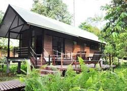 Gunung Mulu National Park