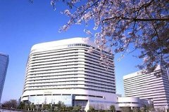 大阪新大谷酒店(Hotel New Otani Osaka)