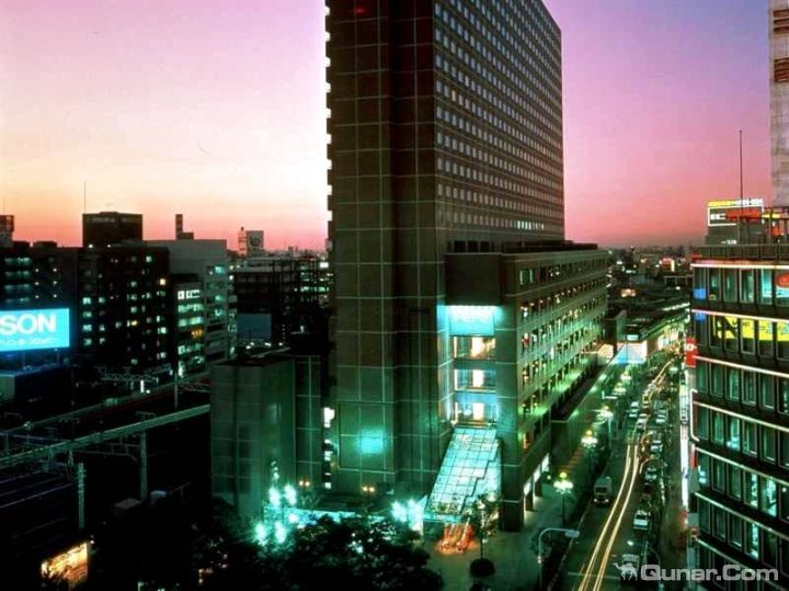 东京新宿王子大饭店(Shinjuku Prince Hotel Tokyo)