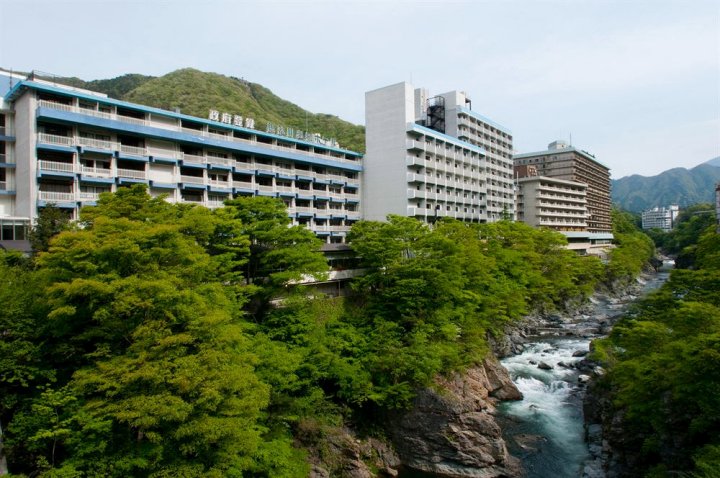 鬼怒川温泉酒店(Kinugawa Onsen Hotel)