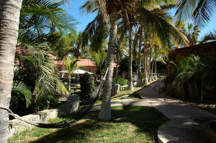 布埃纳维斯塔海滩度假酒店(Hotel Buenavista Beach Resort)