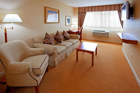 林布鲁克洛克维尔中心智选假日酒店(Holiday Inn Express Lynbrook-Rockville Centre)