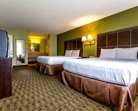 安纳海姆布埃纳帕克品质套房酒店(Quality Inn & Suites Buena Park Anaheim)