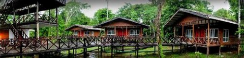 山打根婆罗洲自然小屋旅馆(Borneo Nature Lodge)