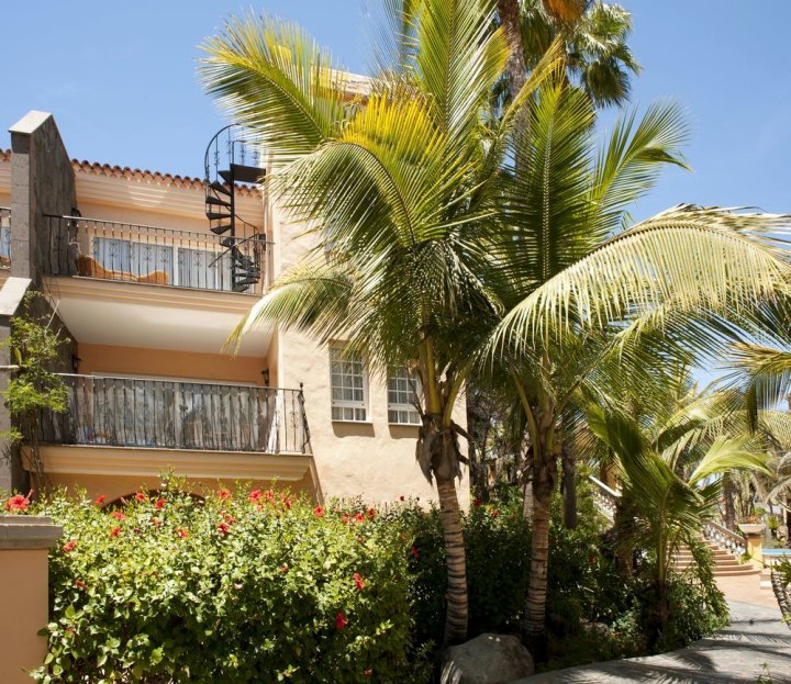 棕榈绿洲马斯帕洛马斯酒店(Palm Oasis Maspalomas)