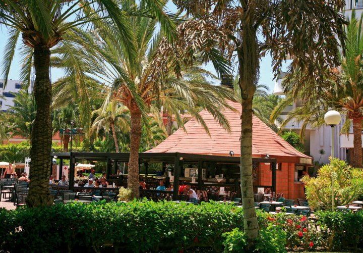 木瓜河酒店(Hotel Riu Papayas)