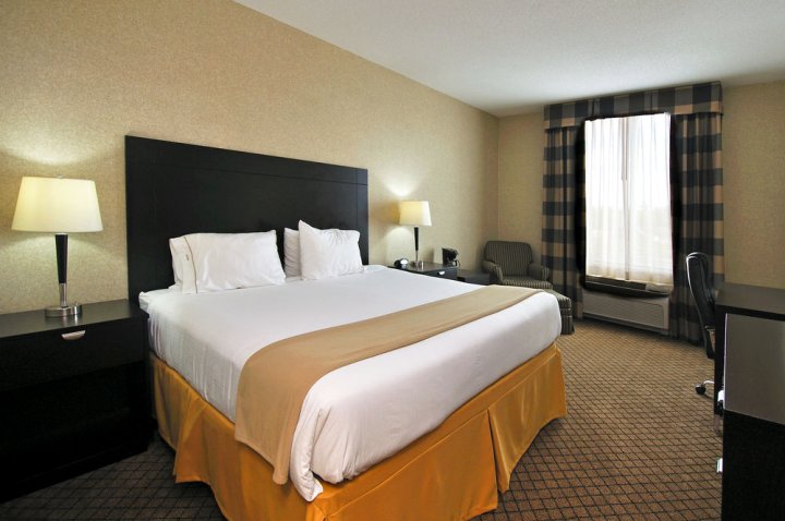 哈利法克斯机场智选假日套房酒店(Holiday Inn Express Hotel & Suites Halifax Airport)