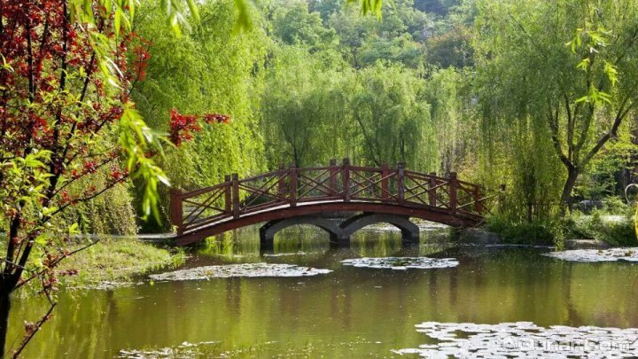 2017无锡古竹,具有典型南方建筑特色的房屋,在