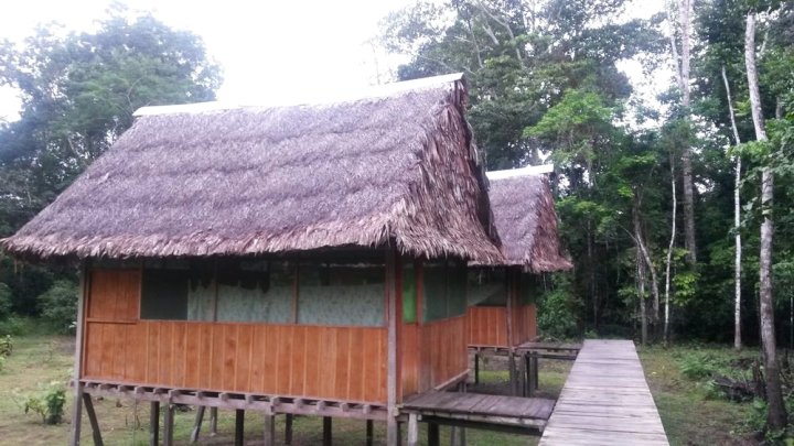 亚马逊生态旅游&旅舍(Amazon Eco Tours & Lodge)