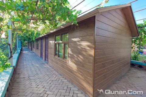 吐鲁番西域葡萄庄园民宿