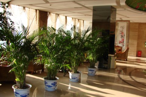 睿龙米易阳光酒店