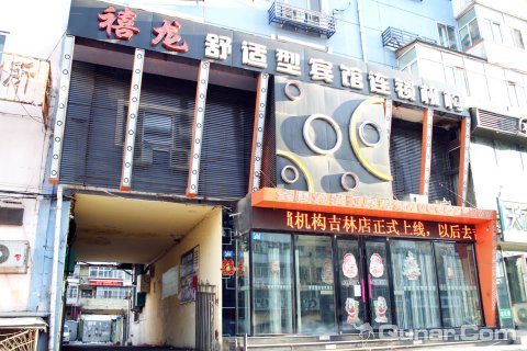 酒店百宝箱 酒店首页 哈尔滨酒店 哈尔滨禧龙宾馆酒店 禧龙宾馆