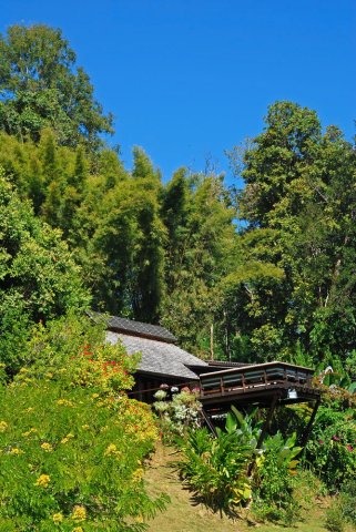 香草山丘酒店(山丘旅馆)(Vanilla Hill (Hill Lodge))