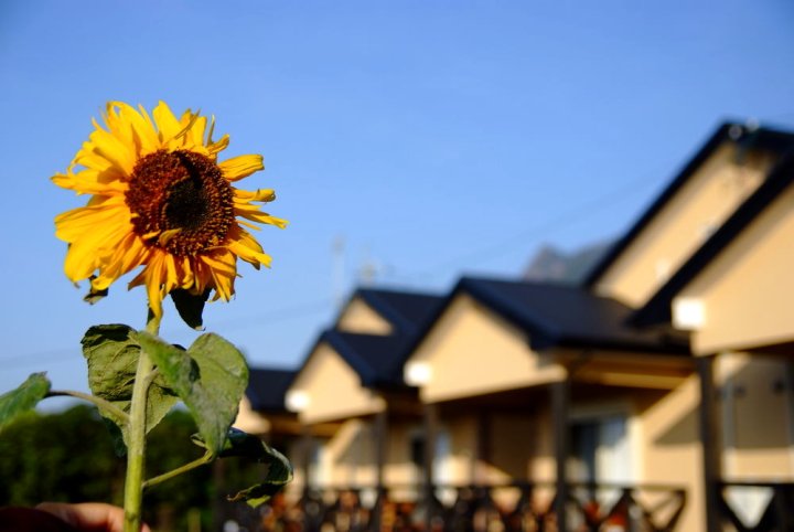 屋久岛莫里尼奥仙境别墅酒店(Yakushima Cottage Morino Fairy)