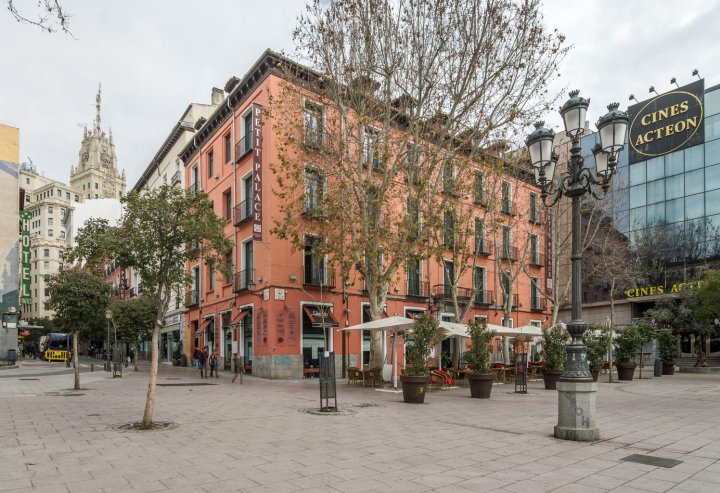卡门广场小宫殿酒店(Petit Palace Plaza del Carmen)
