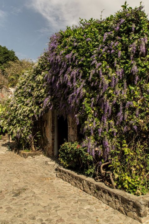 帕尔马斯圣加百列庄园酒店(Hacienda San Gabriel de las Palmas)