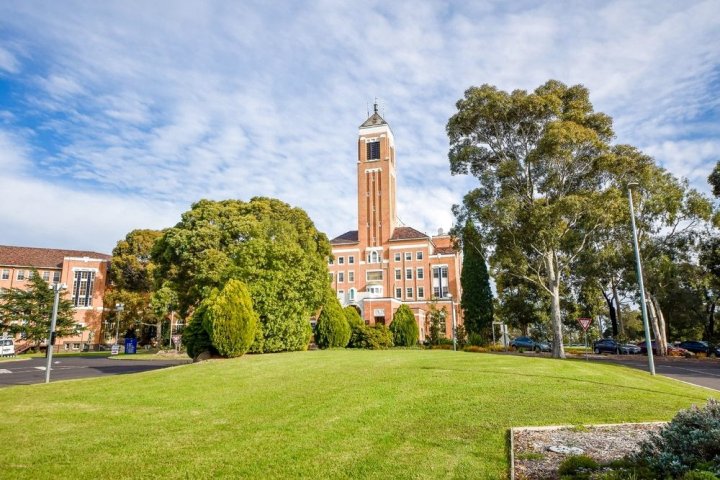 格兰瓦弗利常春藤住宿别墅(Ivy Units Glen Waverley)