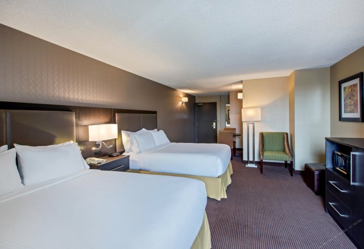 里贾纳智选假日套房酒店(Holiday Inn Express & Suites Regina Downtown)