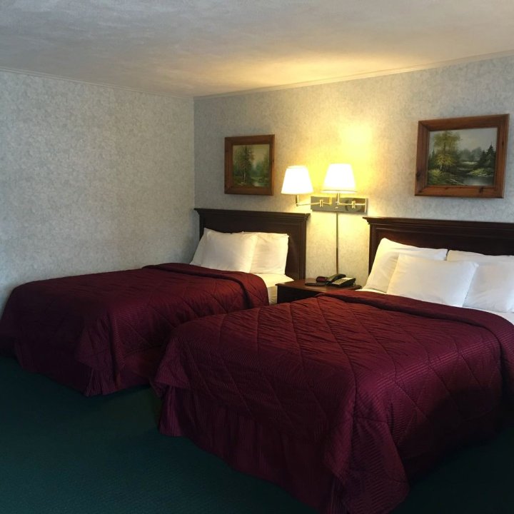 斯托尼布鲁克汽车旅馆&小屋酒店(Stonybrook Motel & Lodge)