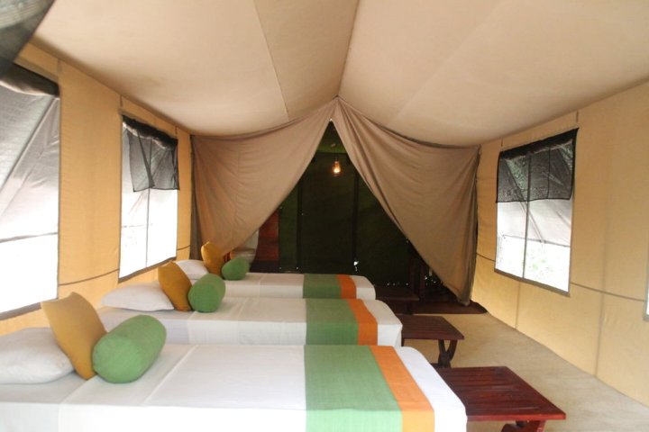 雅拉野生露营地(Wilderness Camping Yala)