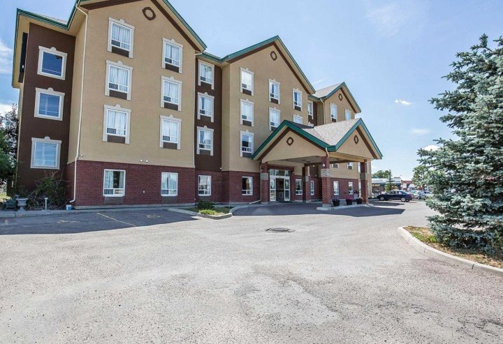 莱斯布里奇因舒适酒店(Comfort Inn Lethbridge)