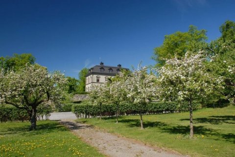 约尔文斯城堡酒店(Görvälns Slott)