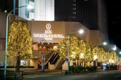 东京全日空洲际酒店(Ana InterContinental Tokyo)