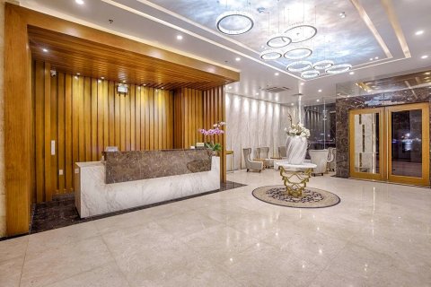 岘港盛放城市酒店(The Blossom City Hotel Da Nang)