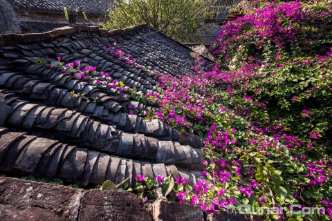 黄姚一念一梦客栈