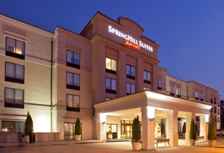 塔雷城春丘酒店(SpringHill Suites Tarrytown)