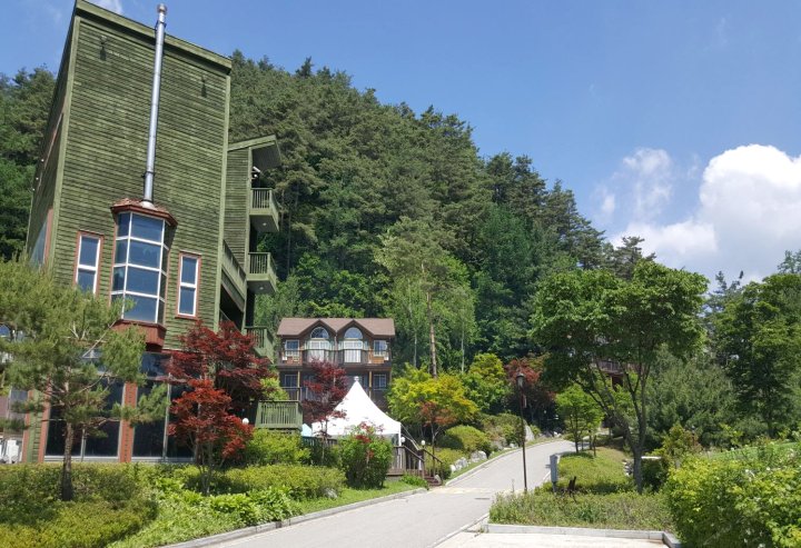 平昌郡松林度假屋(Pine Forest Pension Pyeongchang)