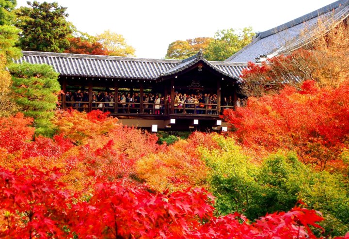 鸭屋日式旅馆(Kamoya Ryokan)