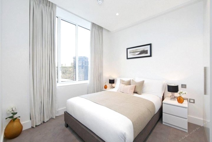 伦敦考文垂花园豪华明亮两卧室(Luxury and Bright 2 Bedroom with AC Covent Garden London)