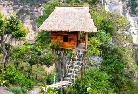 鲁玛博宏树屋(Rumah Pohon Tree House)