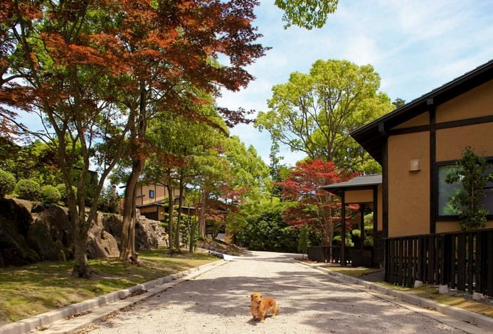 伊豆高原传统日式旅馆(Hannari Izukogen)