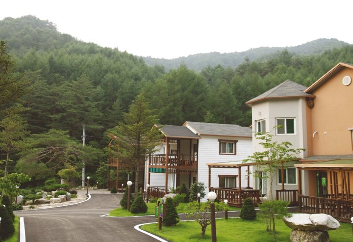 平昌郡Gyebangfarm度假屋(Gyebangfarm Pension Pyeongchang)