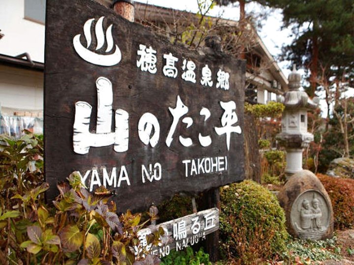 长野药师温泉酒店(Yakushido Onsen Nagano)