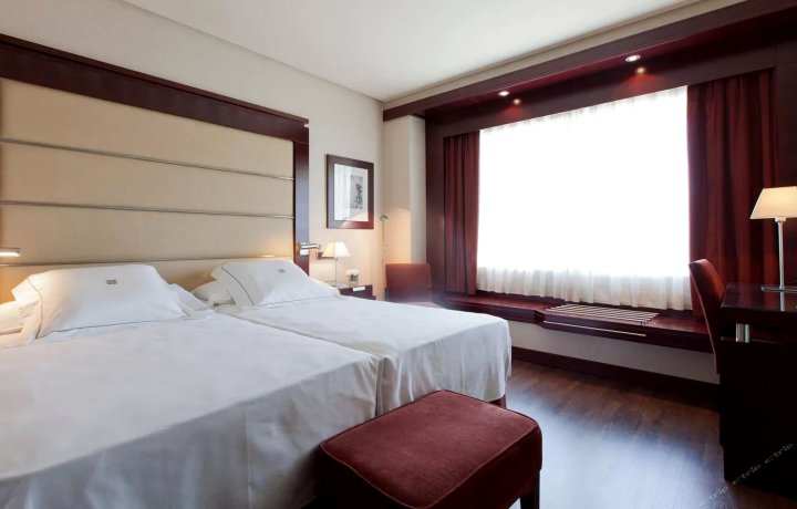 安达卢西亚中心酒店(Hotel Andalucía Center)