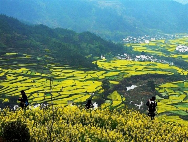 上饶汪月芬特色民宿