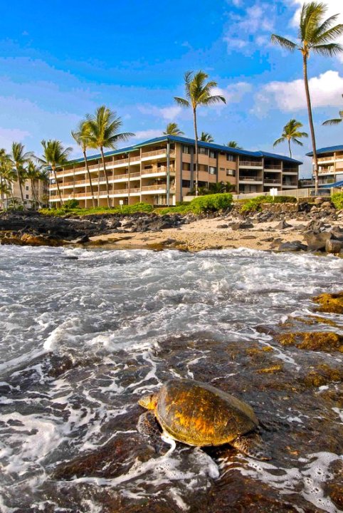 夏威夷雷恩科纳礁酒店(Kona Reef Hawaii by Raintree)