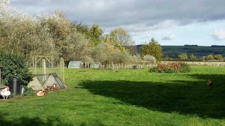 小猪橡树农家乐(The Piggery, Oak House Farm)