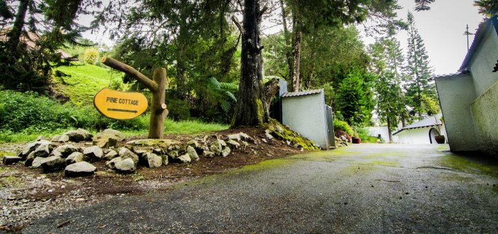 金马伦高原平房酒店 (松树小屋)(Cameron Highlands Bungalow (Pine Cottage))