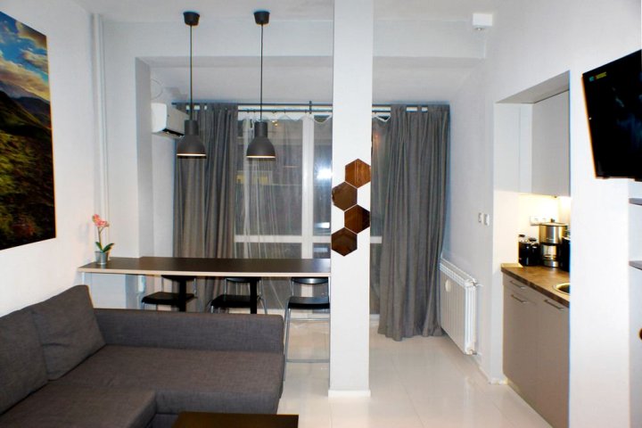 威斯托夏索非亚风格公寓酒店(Vitosha SofiaStyle Apartment)