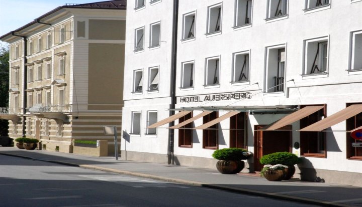 奥尔斯佩格别墅酒店(Hotel & Villa Auersperg)